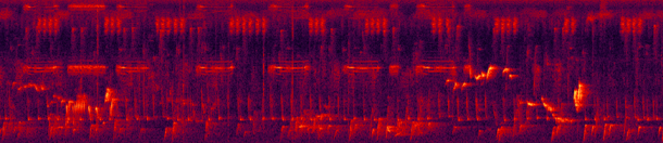 Spectrogramme d'un paysage sonore - spectrogram of a soundscape (Brandon Keim/Bernie Krause)