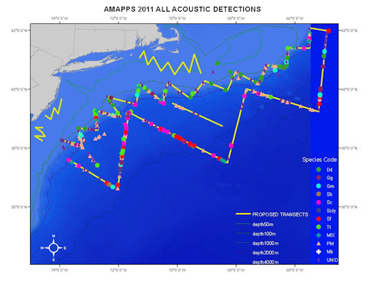 Carte de détection PAM de cétacés au NE des USA - Cetacean PAM detection map in the NE of the USA - NOAA Fisheries Services